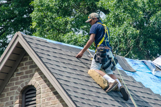 Best Flat Roof Repair Services  in Parkersburg, IA